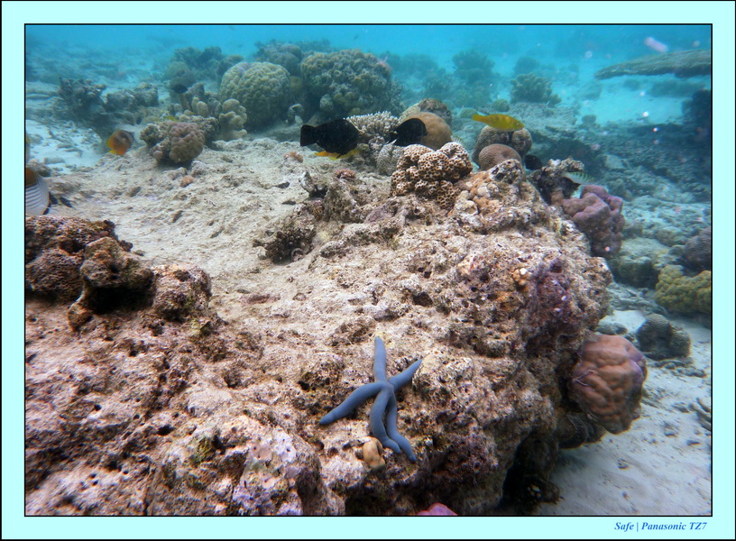 2009   07   Matakin 57